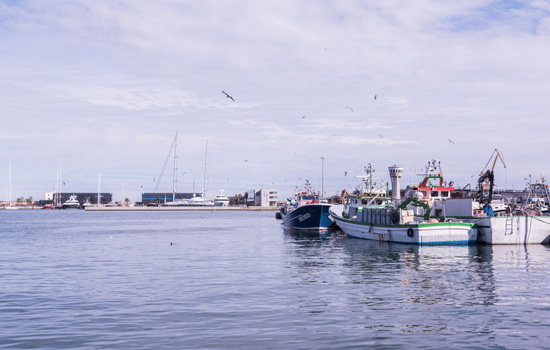 pesca barques